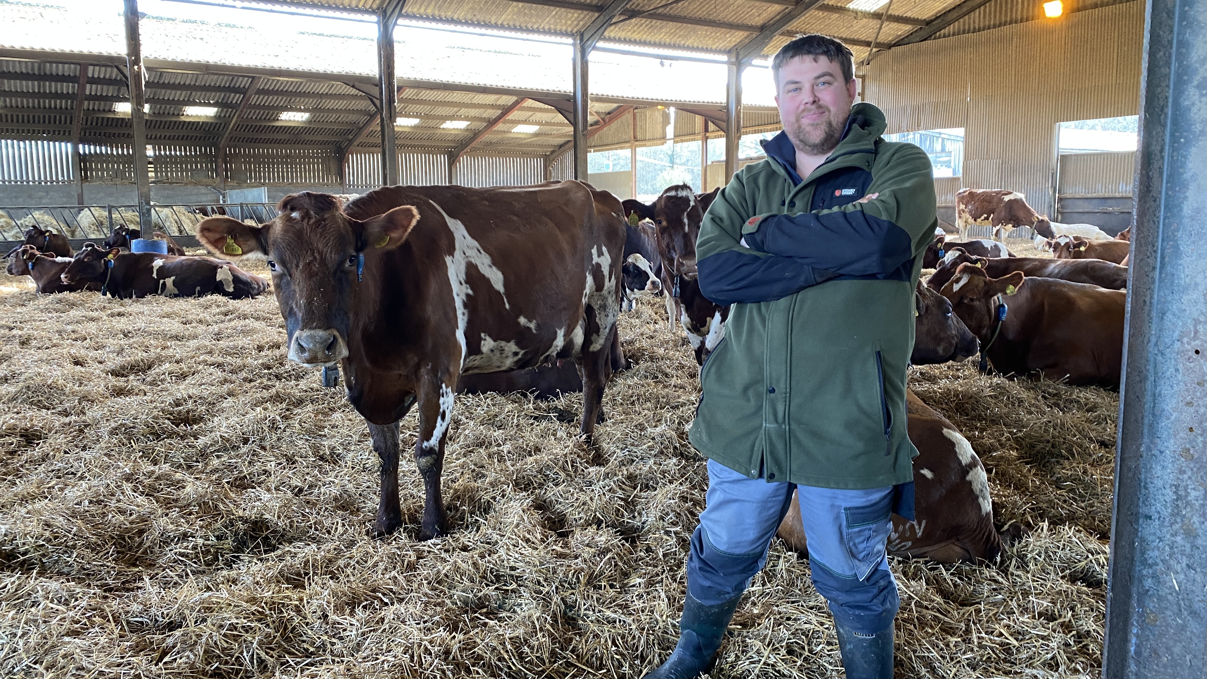 Infrastructure, tech and nutritional changes boost College herd’s milk yield