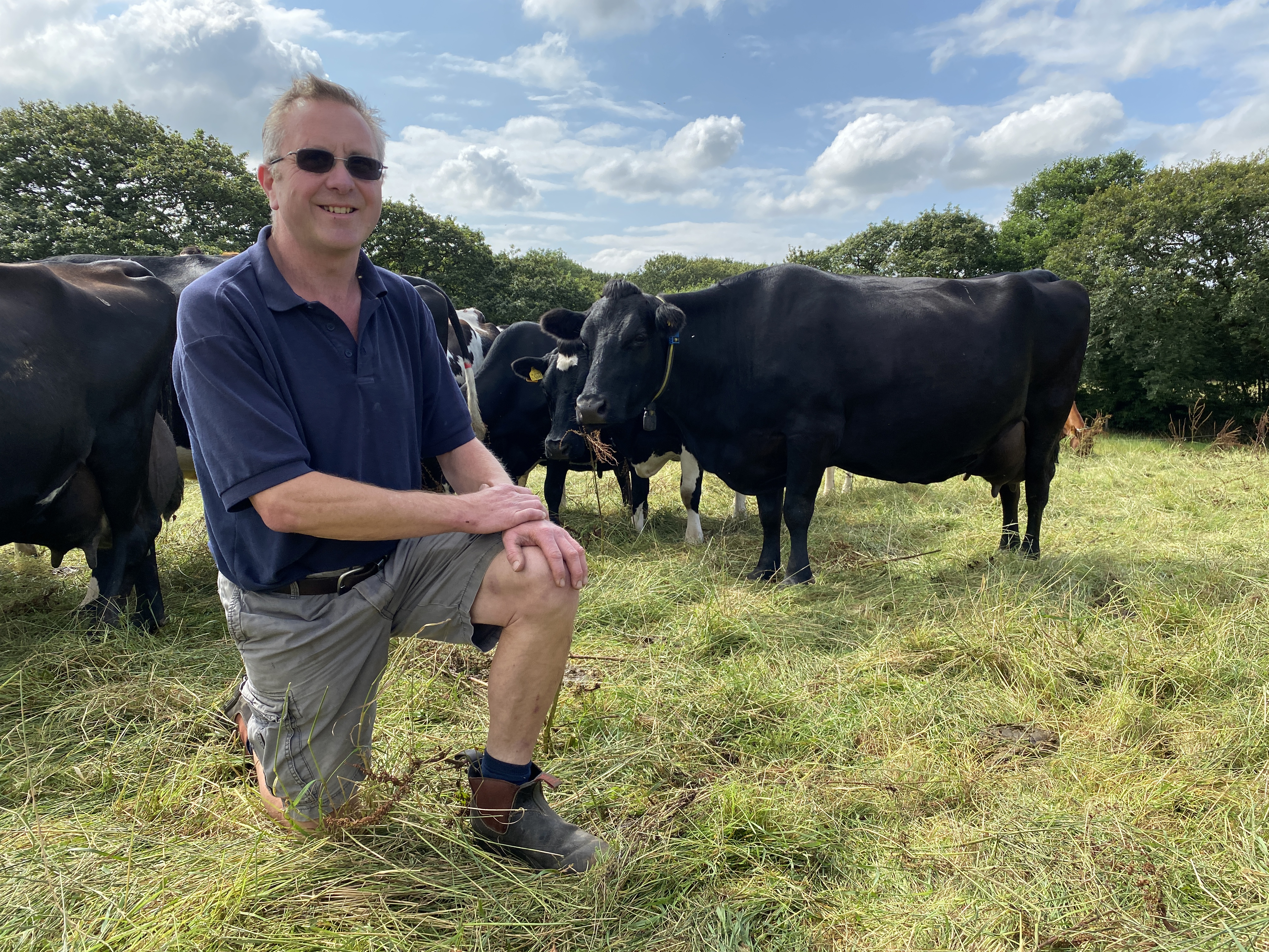 Herd monitoring system supports year-round grazing Cornish herd