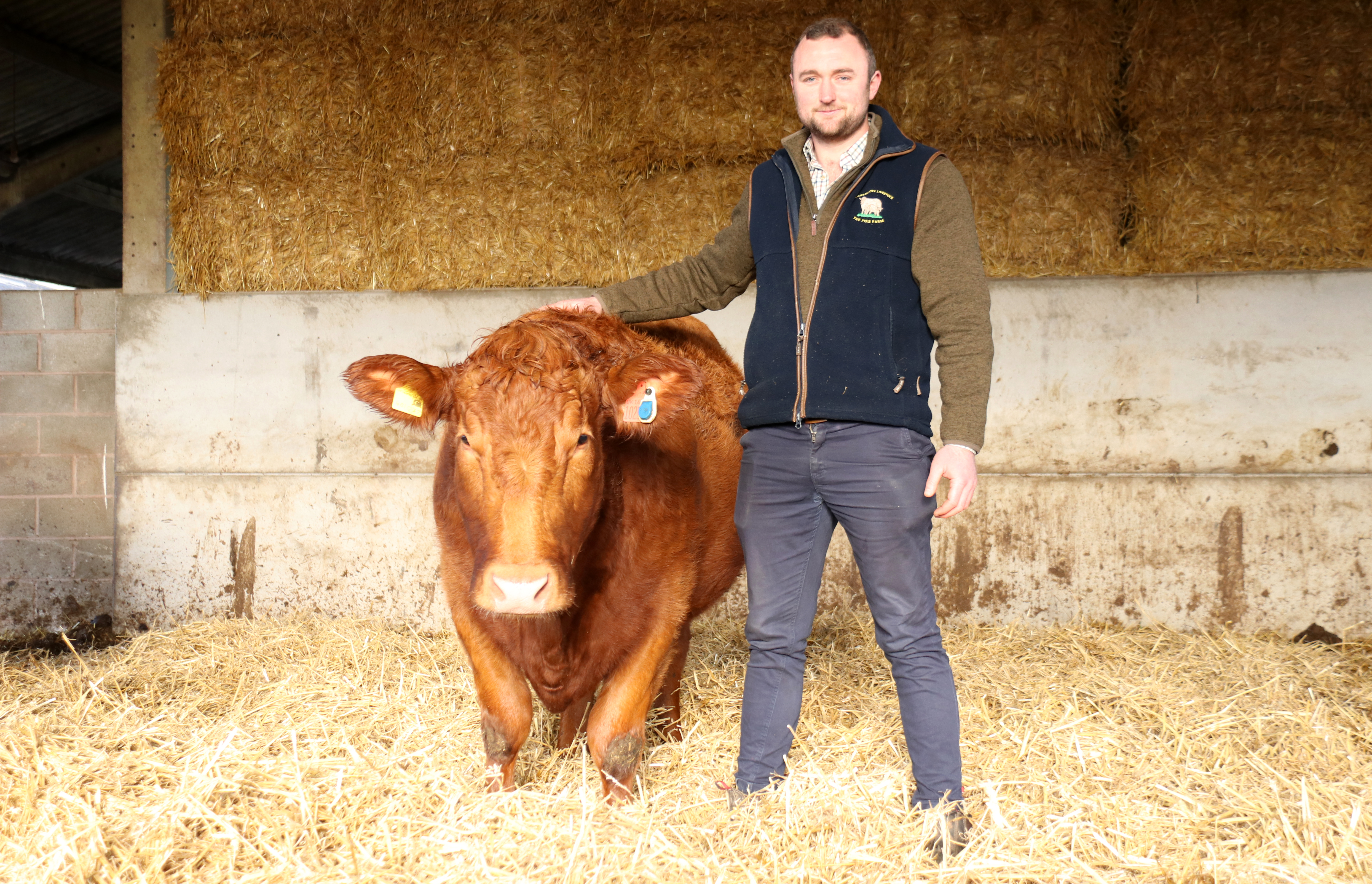 Monitoring ear tags reduce Stabiliser calving period