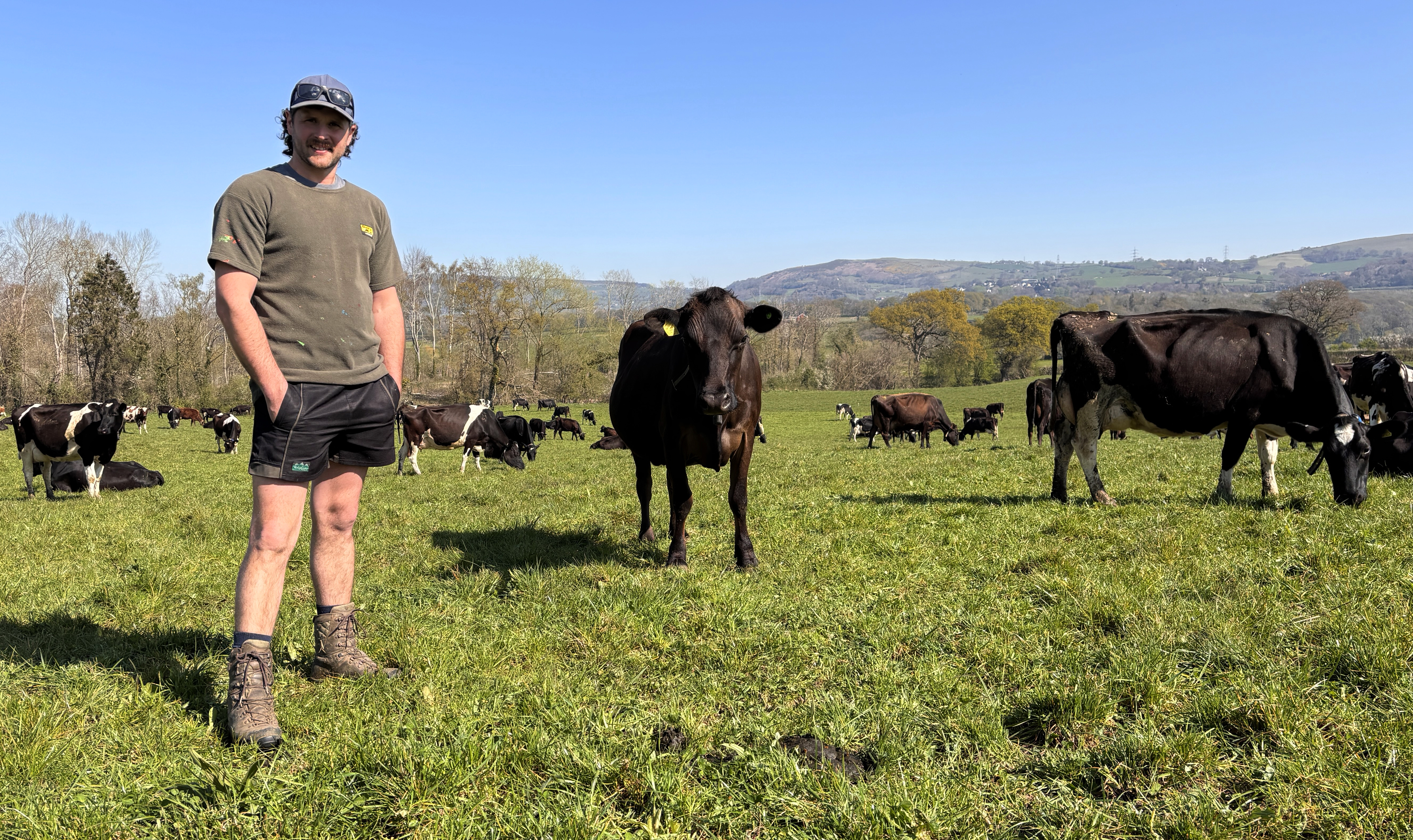 Block Calving Herd Embraces Monitoring Tech to Aid Herd Fertility