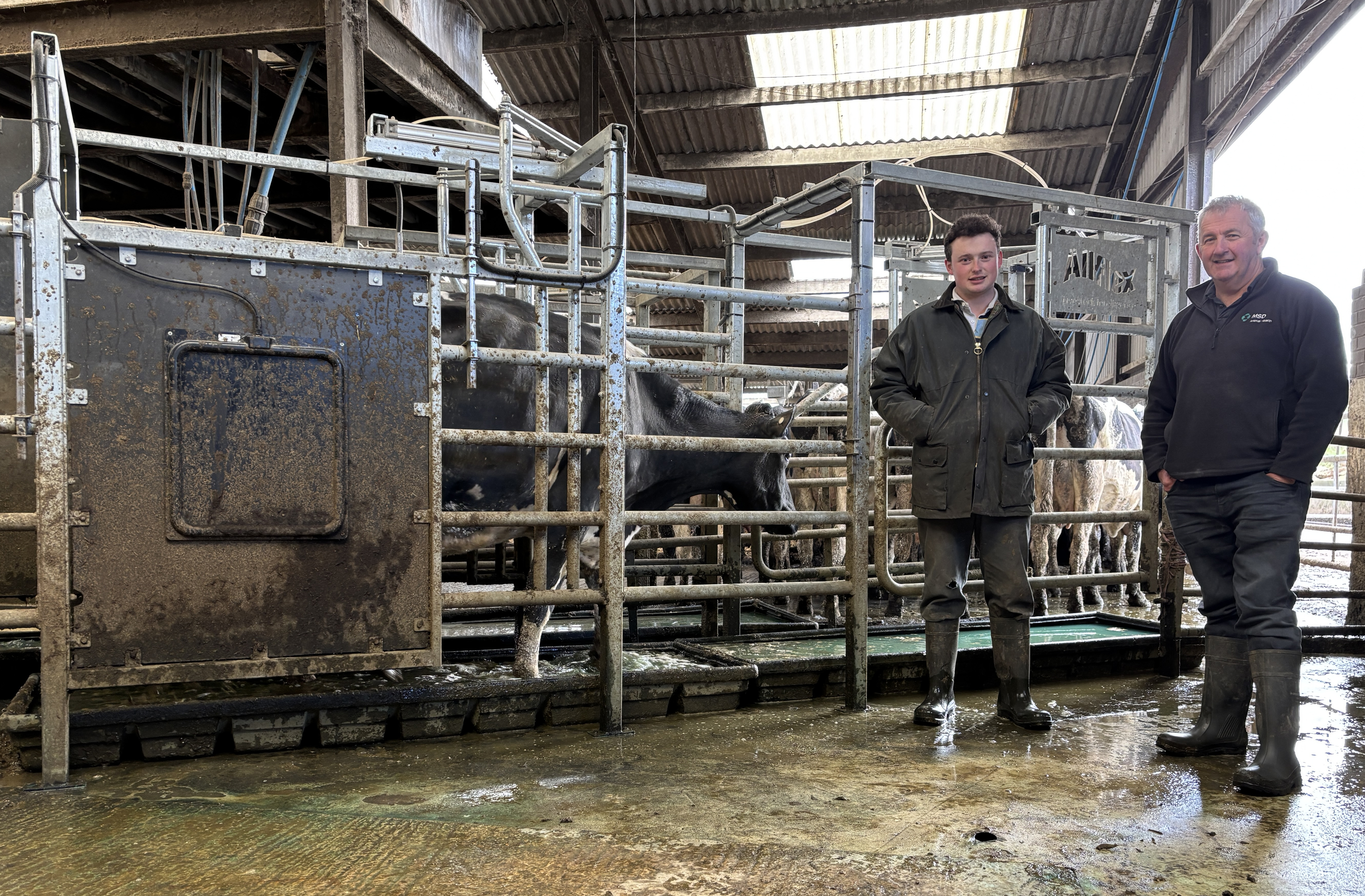 Family farms share herd monitoring and EID tech to improve breeding success