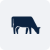 Simple cow silhouette icon.